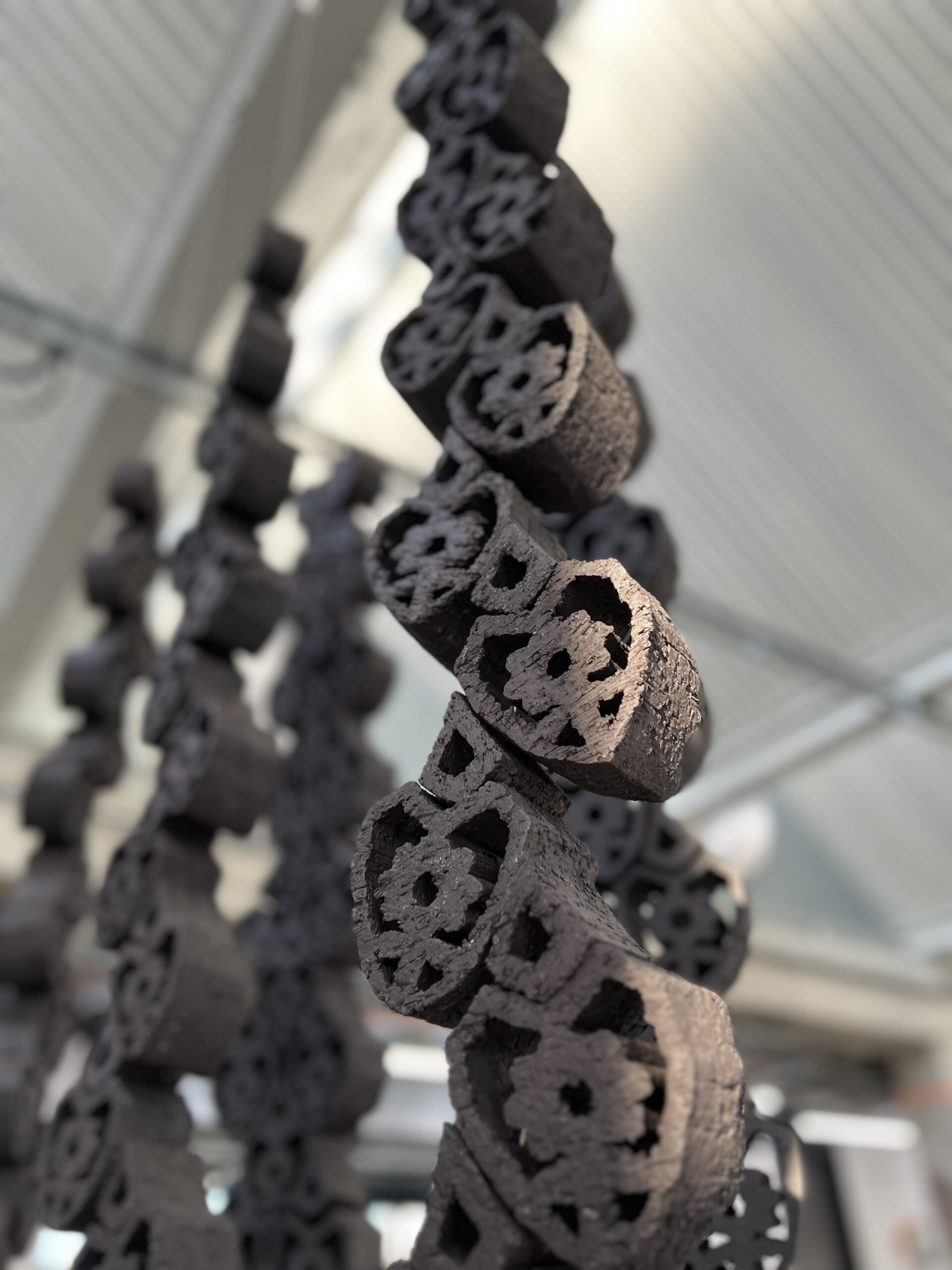 'Behind Closed Doors', 2024